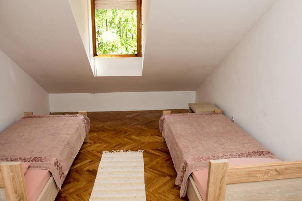 Green House Τσέτινιε Εξωτερικό φωτογραφία
